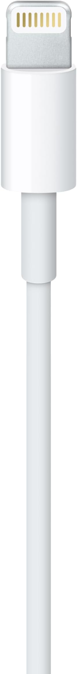 Apple Lightning to USB Cable (1 m)