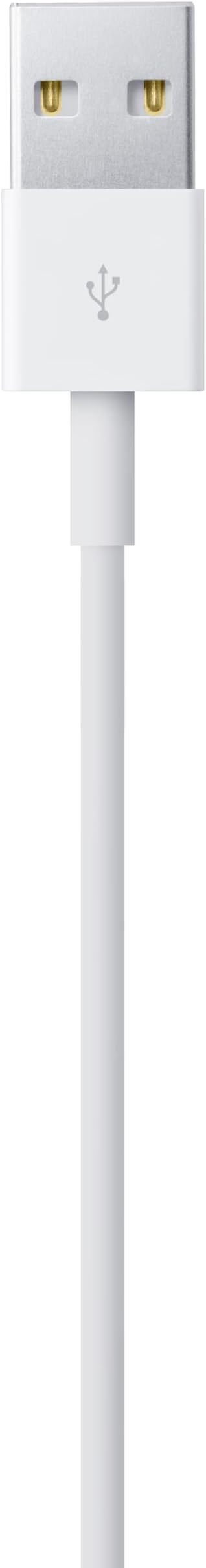 Apple Lightning to USB Cable (1 m)