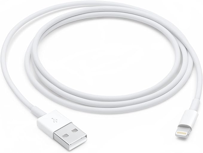 Apple Lightning to USB Cable (1 m)