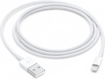 Apple Lightning to USB Cable (1 m)