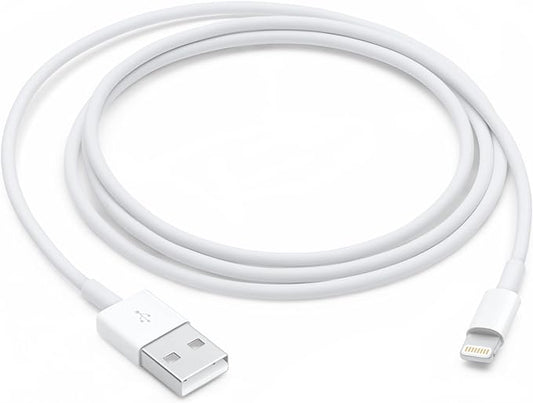 Apple Lightning to USB Cable (1 m)