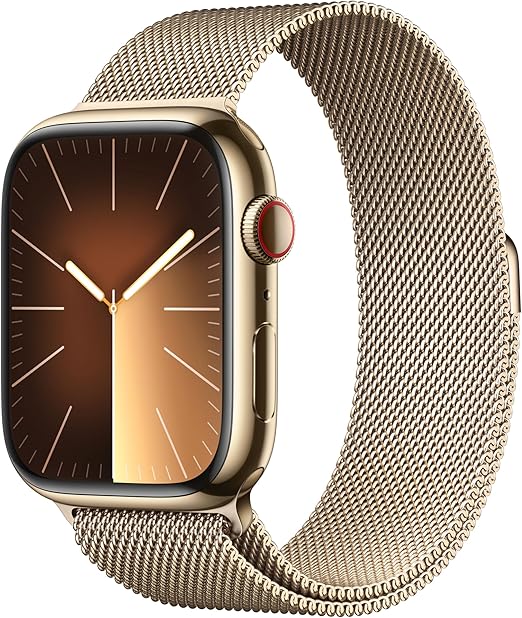 Apple Watch Series 9 Stainless Steel