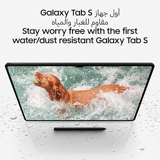 Samsung Galaxy Tab S9