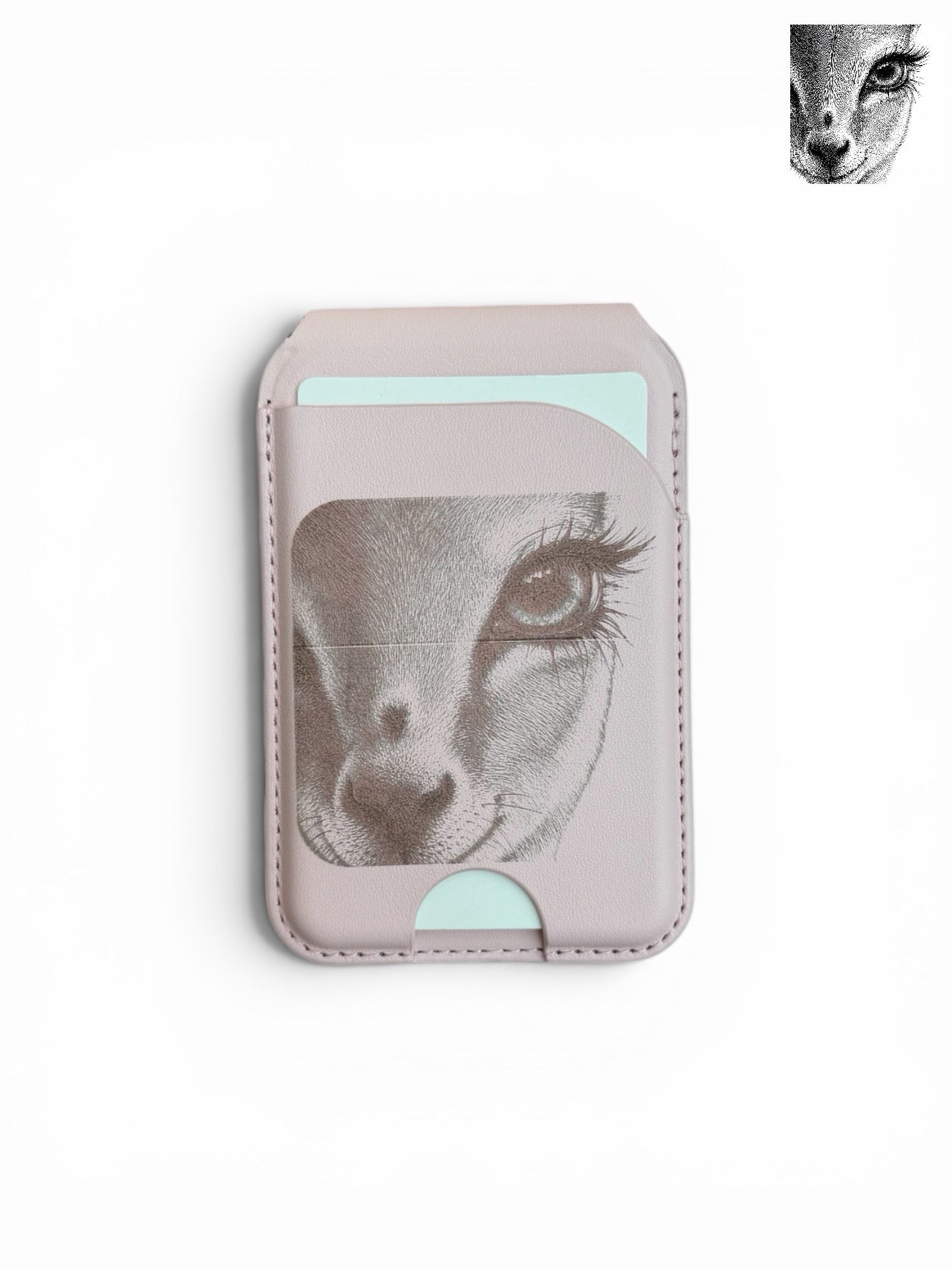 Classic Card Holder – Blush Pink | Llama Edition